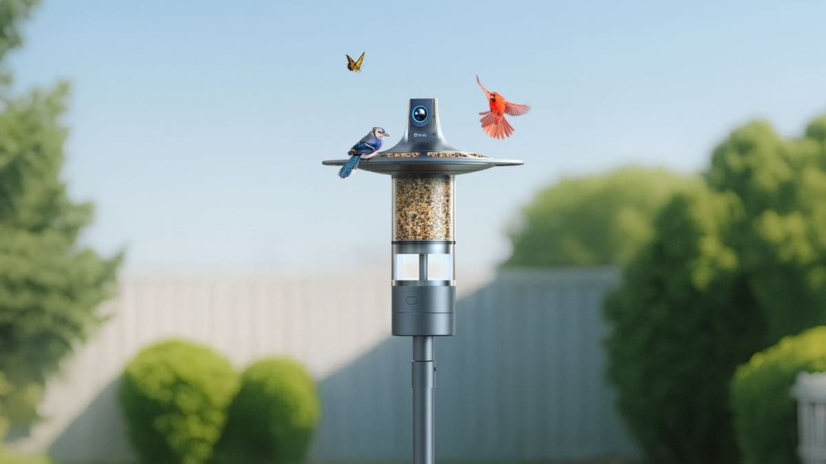 Câmaras Birdfy 360º 6K: Futuro da Observação de Aves em Portugal