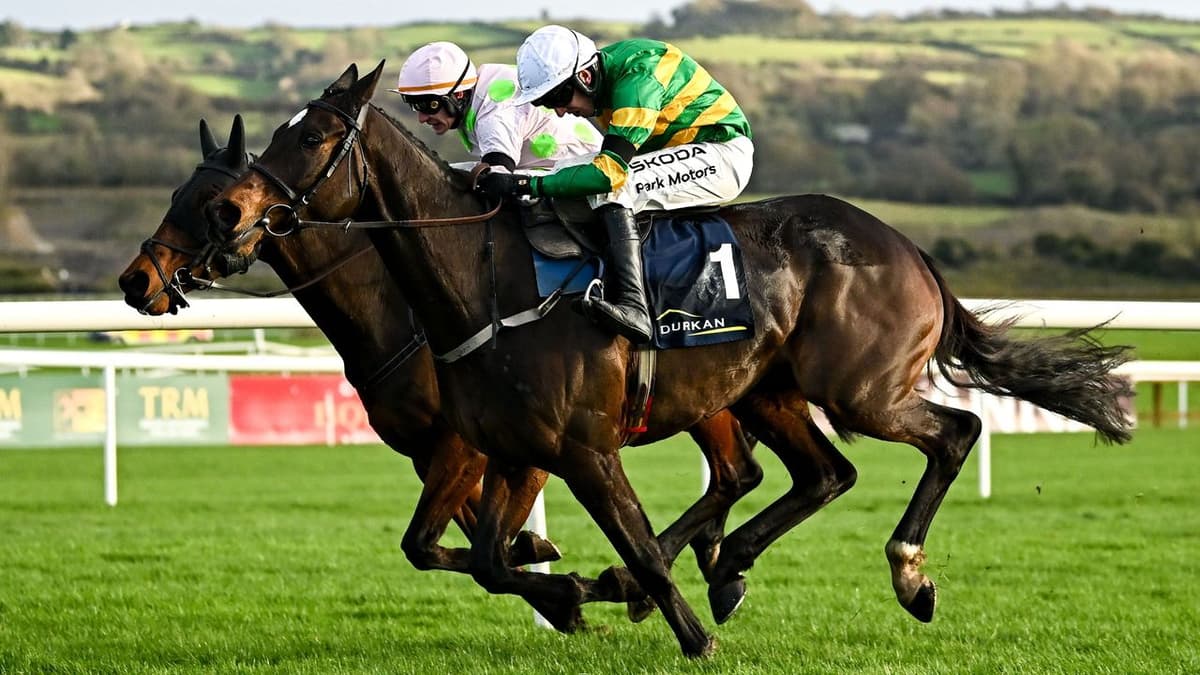 Desporto Online: Como ver o Boxing Day Horse Racing 2025 na era do streaming