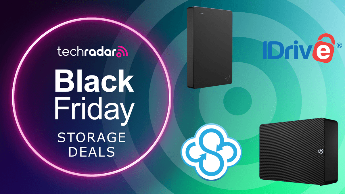 Black Friday: Proteja os Seus Dados com Descontos em Armazenamento